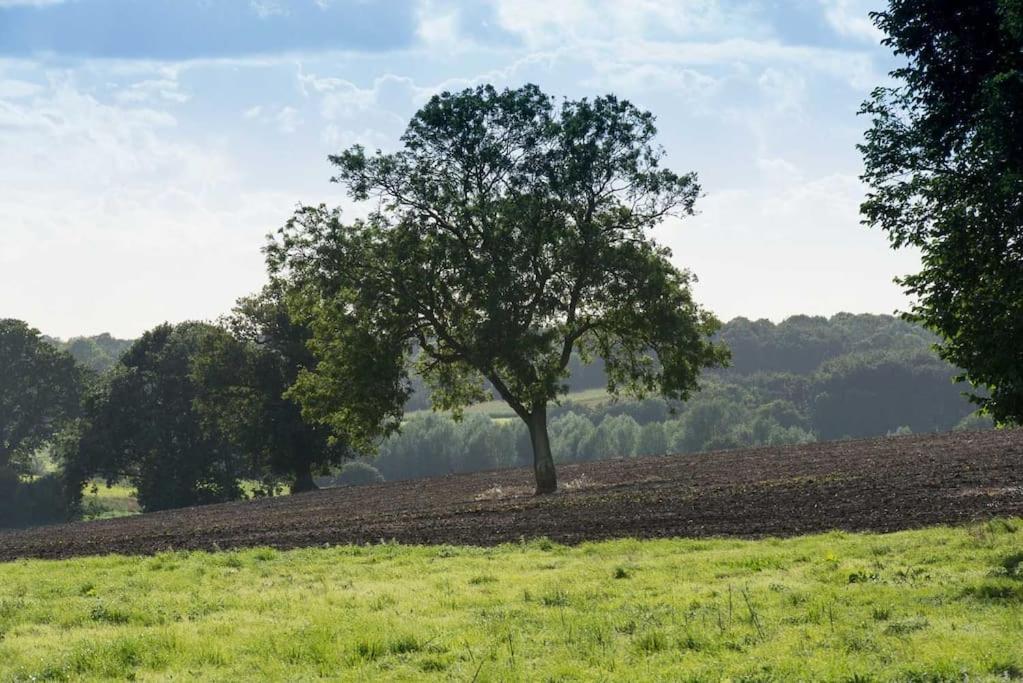 The Stables, Relax In 5 Star Style And Comfort With Lovely Walks All Around Maplestead Exterior foto